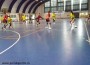 css bacau lps roman handbal feminin