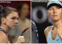 simona halep maria sharapova